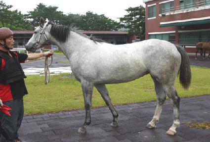 �縮��Ƽ ����