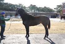 ����Ű (MAGIC KI) ����