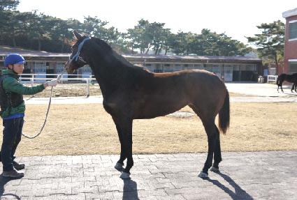 ����Ű ����