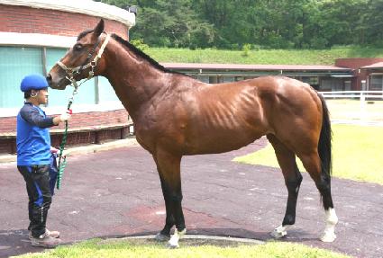 �����漺 ����