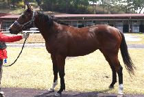 ������ũ (SUPER TANK) ����