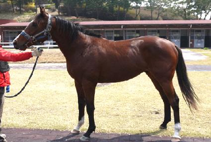 ������ũ ����