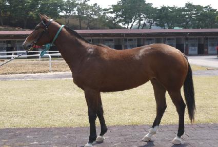 ��ȭ���� ����