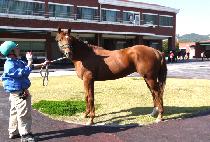 �������� (SEONBONG YEONGUNG) ����