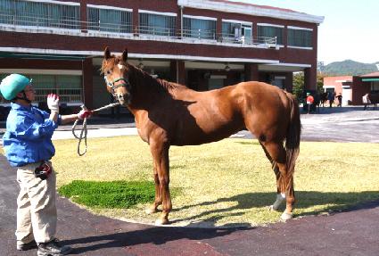 �������� ����