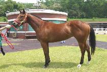 �����¡��ġ (AMAZING TOUCH) ����