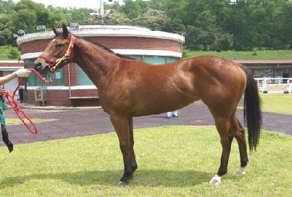 �����¡��ġ ����