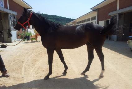 ��������Ÿ ����