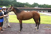 ���� (USANBONG) ����