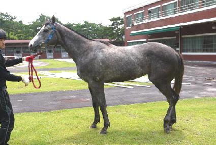 ���̽��÷��� ����