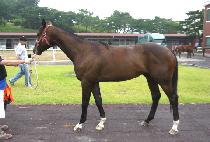 ����ũ�� (SUPER CREEK) ����