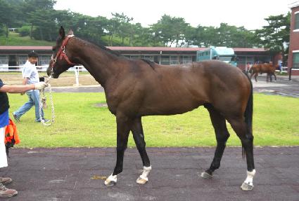 ����ũ�� ����