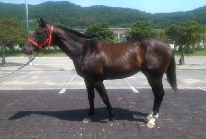 ������ī�� ����