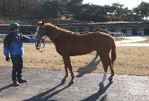 Ȳ�ݺ� (HWANGGEUM BYEOL) ����