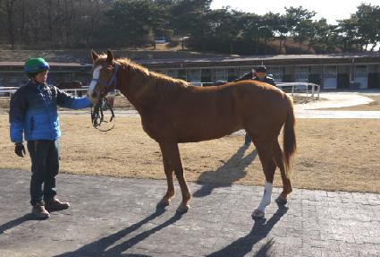 Ȳ�ݺ� ����