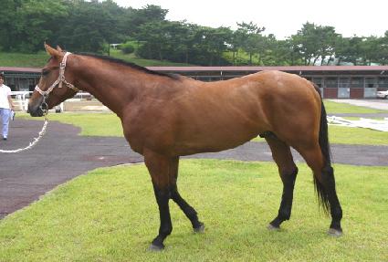 īư������ ����