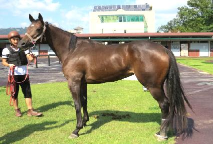 ������ ����