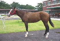 CHEONYEON BIO picture