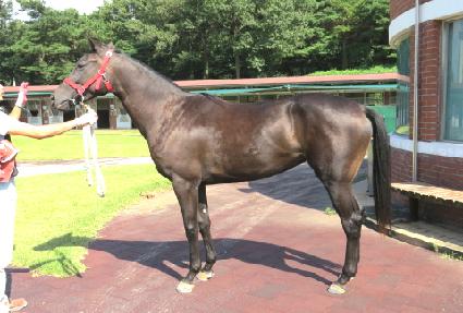 ���� ����