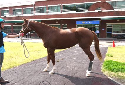 ��ħ���� ����