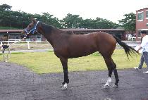 �ɱ� (NEUNGGEUM) ����