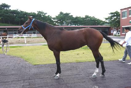 �ɱ� ����