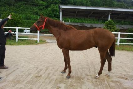 ���������� ����