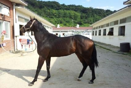 ���÷���� ����