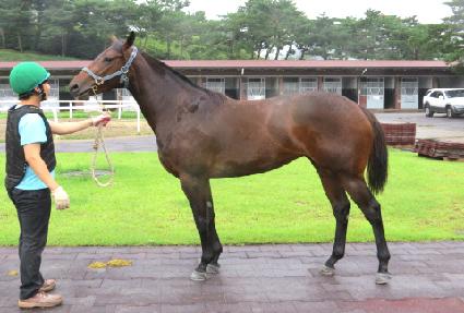 ��Ÿ���� ����