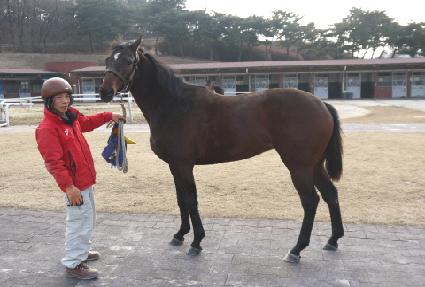 ������ ����