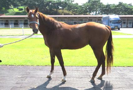 ������� ����