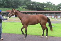 ��õ�� (EUNCHEONJI) ����