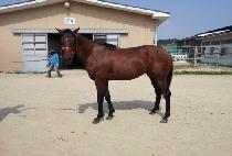 ����Ʈ���� (NAMDO TRIO) ����