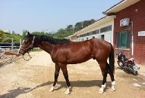 �Ѹ����� (HANMA BONNEUNG) ����