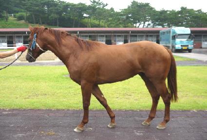 ���Ľ�Ÿ ����