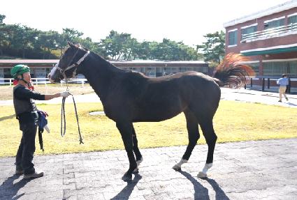 ������Ƽ ����