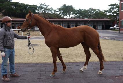 �ö��׼��� ����