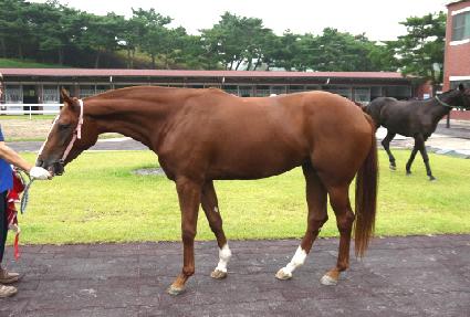 ������ũ ����