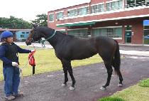 ���̹̼� (MY MICHEL) ����