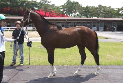 ������ ����