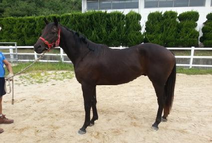 Ǫ�����̽� ����