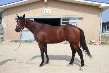 �������� ����