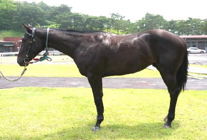 ����Ʈ���� ����