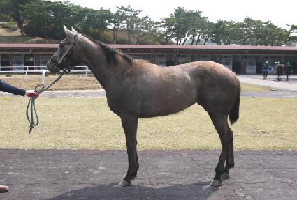 �ö��Ĺ ����