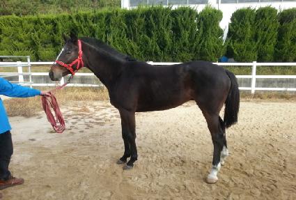 ����ؽ�Ʈ ����