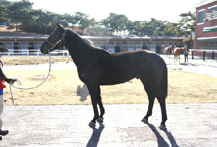 ���� ����