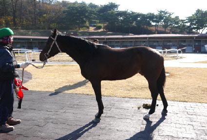 �̽�Ʈ�� ����