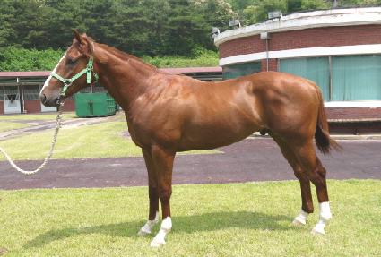 �����巡�� ����