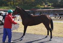 Ʈ����Ʈ (TRICK QUETTE) ����