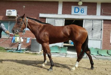 �Ŀ������� ����